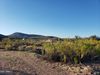 2619 Hackberry Road photo